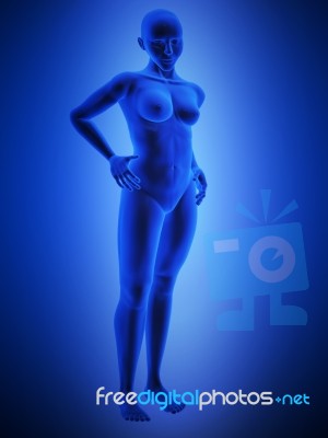 Female Human Body Stock Image