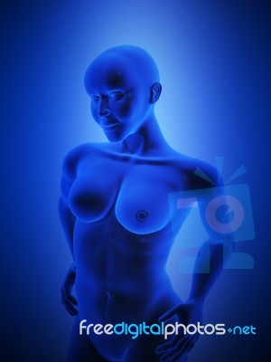 Female Human Body Stock Image