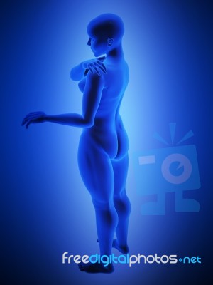 Female Human Body Stock Image