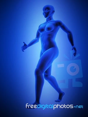 Female Human Body Stock Image