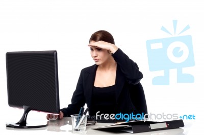 Female Secretary Focusing On Work Stock Photo