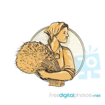 Female Wheat Farmer Drawing Stock Image