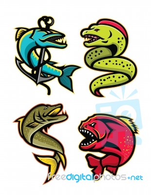 Ferocious Fishes Sports Mascot Collection Stock Image