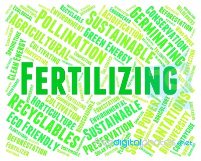 Fertilizing Word Indicates Soil Conditioner And Composted Stock Image