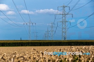 Fields And Power Poles Stock Photo