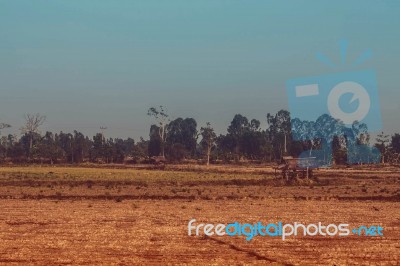 Fields Are Dry In The Countryside Stock Photo