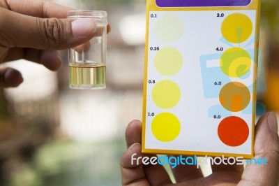 File Hand Holding Chlorine  Testing Tube Compared With Cholrine Stock Photo