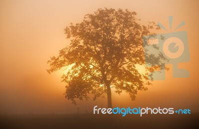 Filtered Light Stock Photo