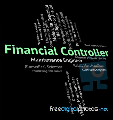 Financial Controller Meaning Manager Trading And Head Stock Image