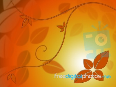 Fine Leaves Background Shows Autumn Season Beauty
 Stock Image