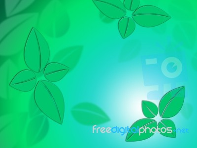 Fine Leaves Background Shows Natural Fall Beauty Or Decoration
 Stock Image