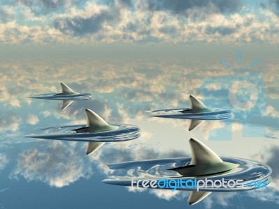 Fins  Of Dolphins In The Sea Stock Image