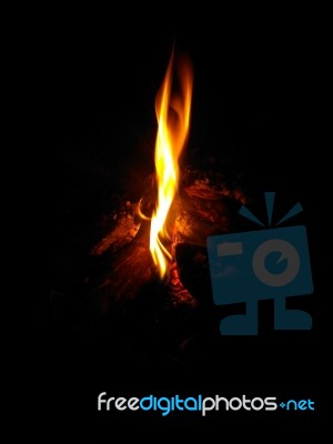 Fire Stock Photo