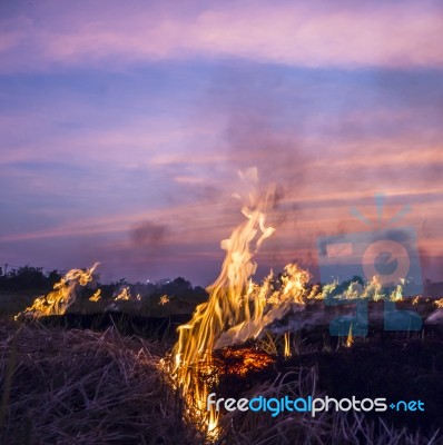 Fire And Sunset Stock Photo