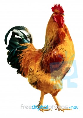 Fire Cock In Full Length Stock Image