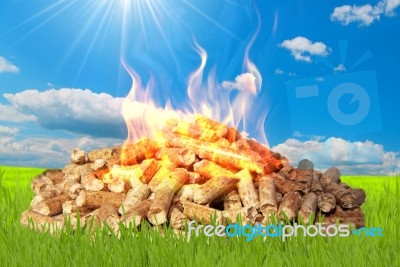 Fire Pellet In Green Land Stock Image