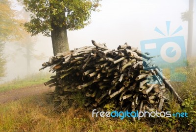 Firewood Stock Photo