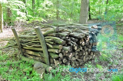 Firewood Stack 2 Stock Photo