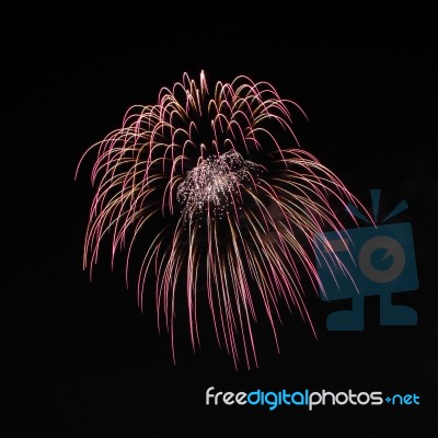 Firework Explode On Night Sky Stock Photo