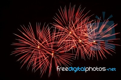 Firework Explosion Stock Photo