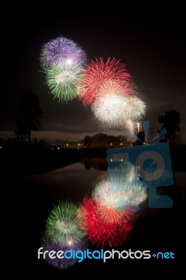 Firework Night Stock Photo