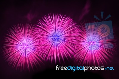 Fireworks Stock Photo