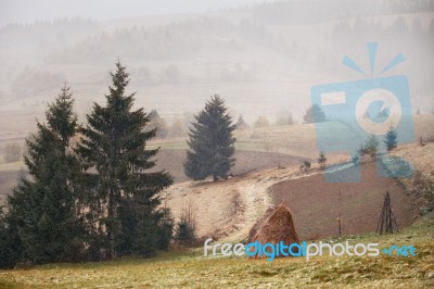 First Snow In Autumn. Snowfall In Mountains Stock Photo