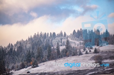 First Snow In Autumn. Snowfall In Mountains Stock Photo