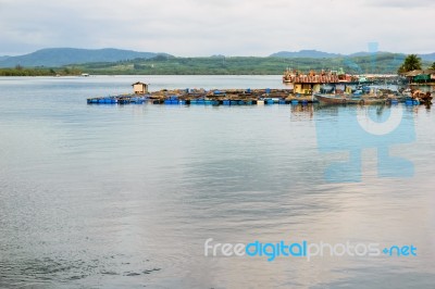 Fish Farm With Floating Cages Stock Photo