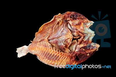 Fish On Black Background Stock Photo