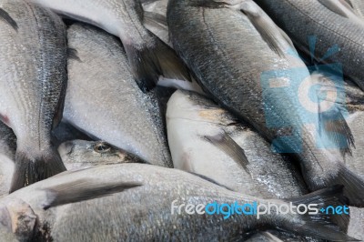 Fish On Sale In Madeira Market Stock Photo