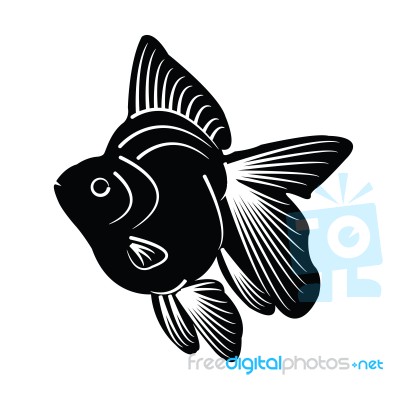 Fish Silhouette Stock Image