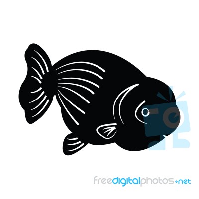 Fish Silhouette Stock Image