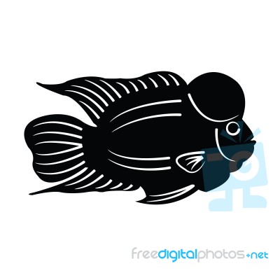 Fish Silhouette Stock Image