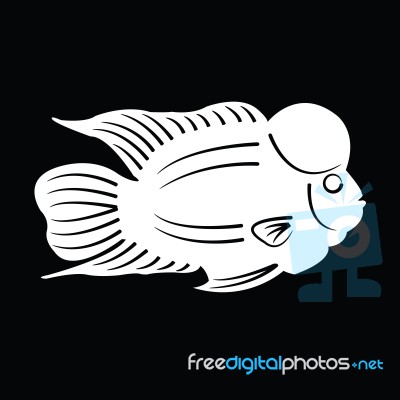 Fish Silhouette Stock Image