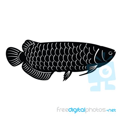 Fish Silhouette Stock Image