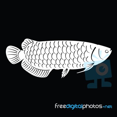 Fish Silhouette Stock Image