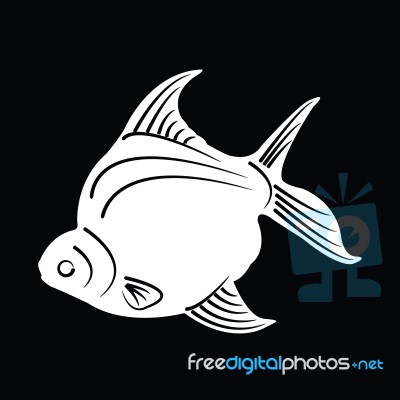 Fish Silhouette Stock Image