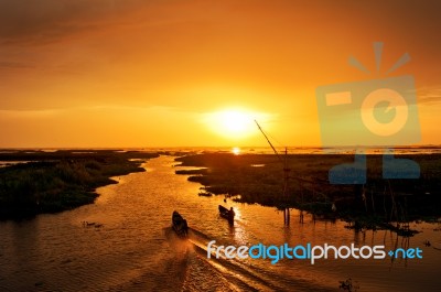 Fisherman At Work  Stock Photo