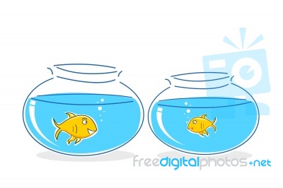 Fishes In Tank Stock Image