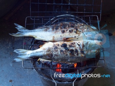 Fishes Roasting On Grid Stock Photo