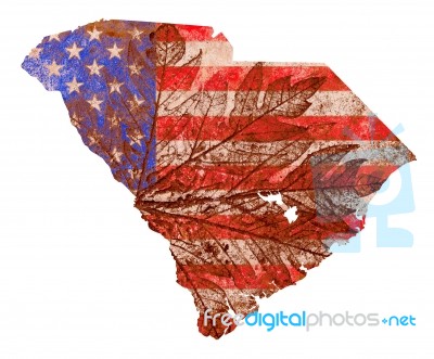 Flag Pattern South Carolina Map Stock Image