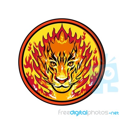 Flaming Tiger  Head Icon Stock Image