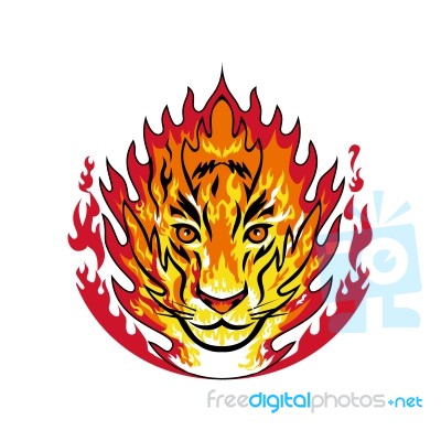 Flaming Tiger Head On Fire Mascot Stock Image