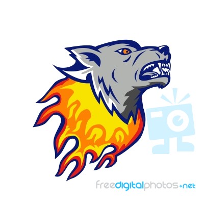 Flaming Wolf Head On Fire Isolated Stock Image