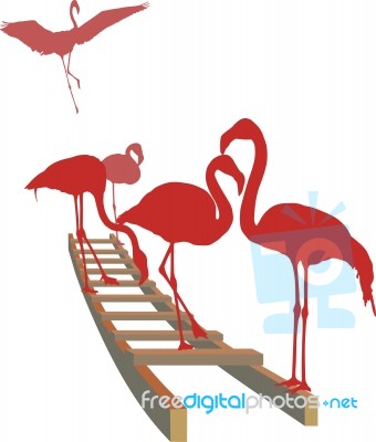 Flamingos On The Ladder Stock Image