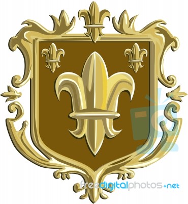 Fleur De Lis Coat Of Arms Gold Crest Retro Stock Image