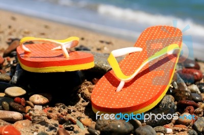 Flip-flops Stock Photo