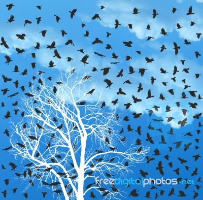 Flock Of Crows Over White Tree Stock Image