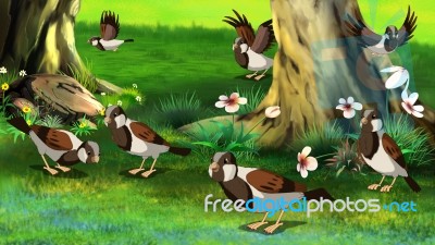 Flock Of Sparrows Feeding In The Forest Stock Image